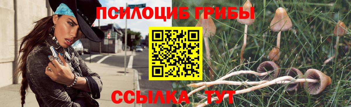 Галлюциногенные грибы Magic Shrooms Назрань