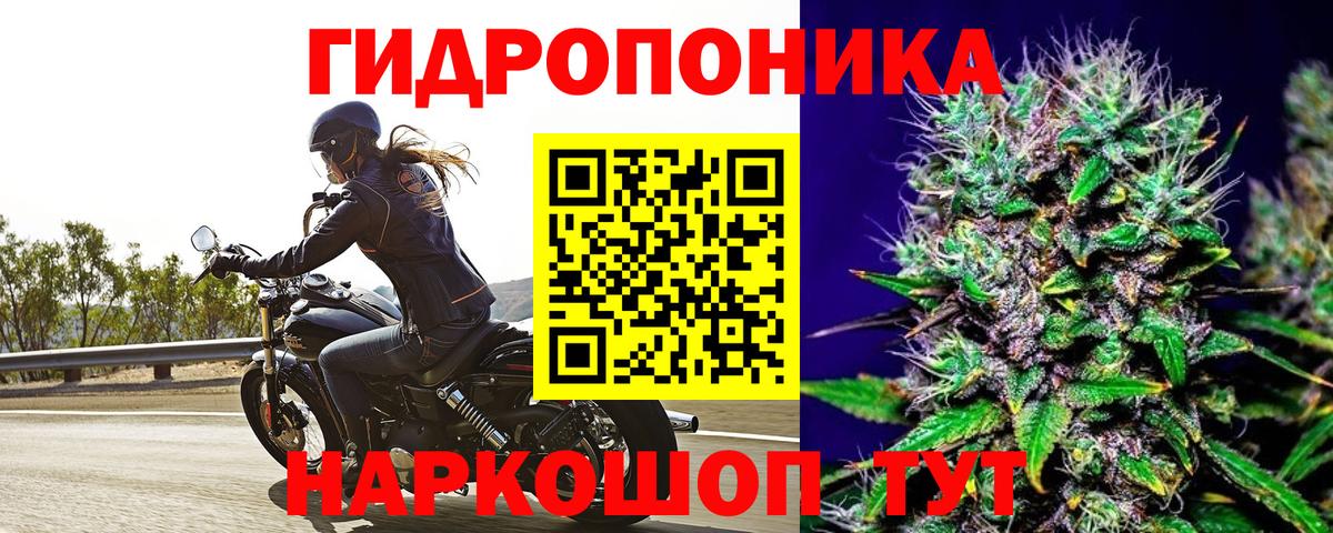 Канабис MAZAR Назрань